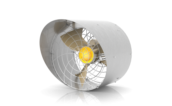 rotoplast