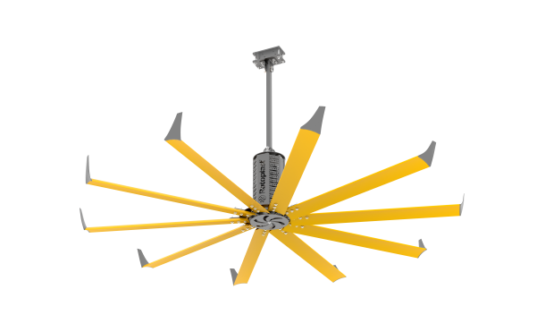 rotoplast